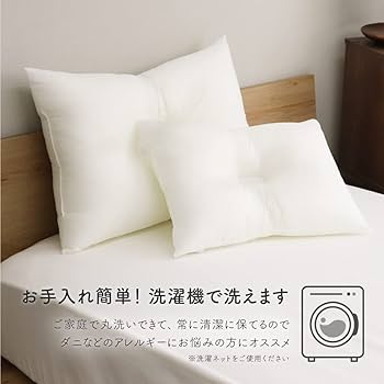 Amazon｜D's collection ウォッシャブル枕 小さめサイズ がわ